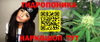 бошки Краснокаменск