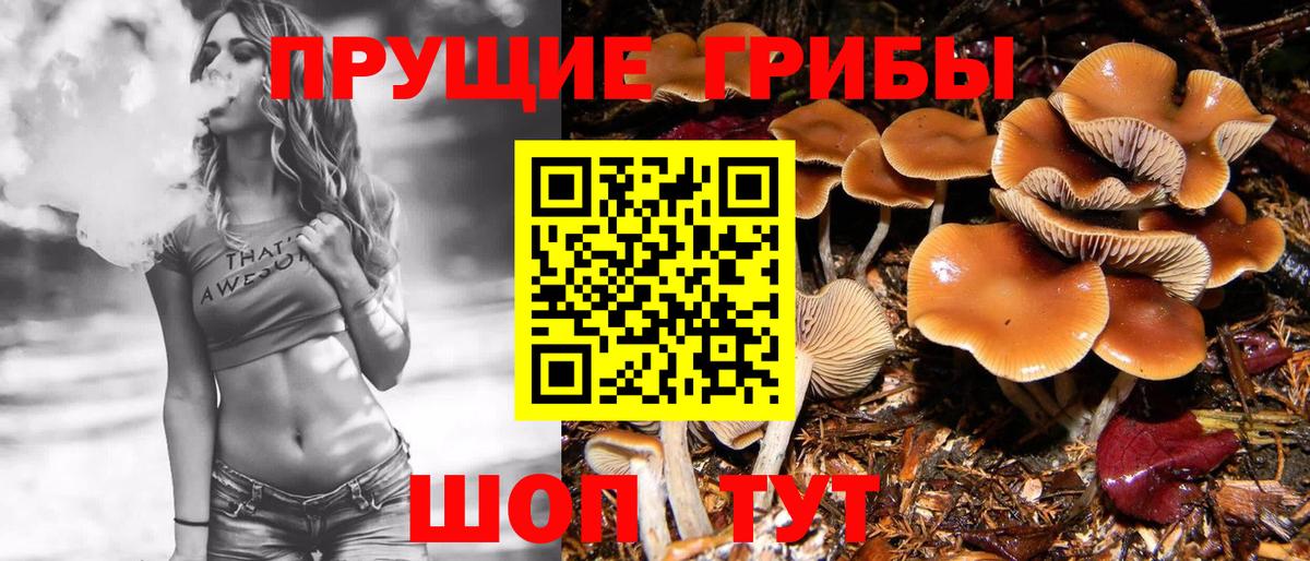 Псилоцибиновые грибы мухоморы  купить наркотики цена  Буйнакск  Вход с VPN 