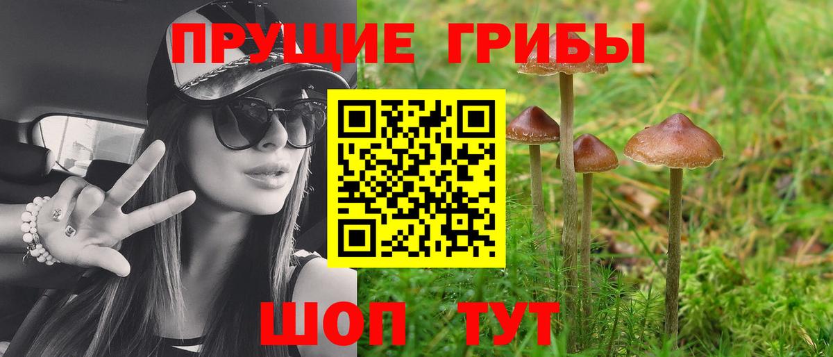 Галлюциногенные грибы мухоморы Буйнакск